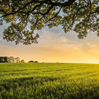 Ημέρα της Γης: 4 οφέλη του βιγκανισμού στον πλανήτη