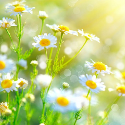 Διάβασε ΔΩΡΕΑΝ την προσωπική σου πρόβλεψη, για σήμερα 23/04/2020