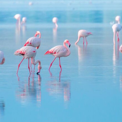 Διάβασε ΔΩΡΕΑΝ την προσωπική σου πρόβλεψη, για σήμερα 24/04/2020