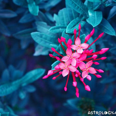 Διάβασε ΔΩΡΕΑΝ την προσωπική σου πρόβλεψη, για σήμερα 27/04/2020