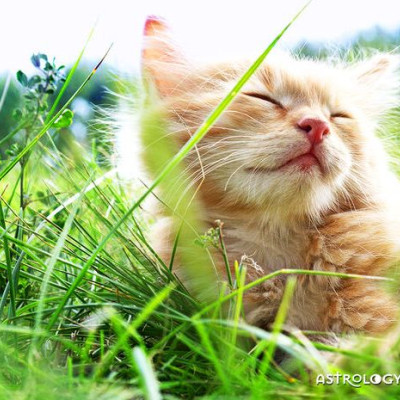 Διάβασε ΔΩΡΕΑΝ την προσωπική σου πρόβλεψη, για σήμερα 15/05/2020