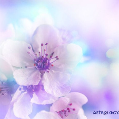 Διάβασε ΔΩΡΕΑΝ την προσωπική σου πρόβλεψη, για σήμερα 16/05/2020