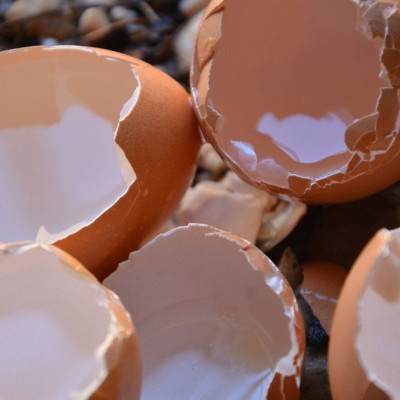 Έβαλε τσόφλια αυγού στο κομμένο χέρι - Δείτε γιατί και θα το κάνετε κι εσείς (video)