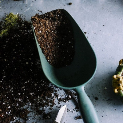 Αυτοί είναι οι λόγοι που πρέπει να βάζεις καφέ στις γλάστρες (photos)