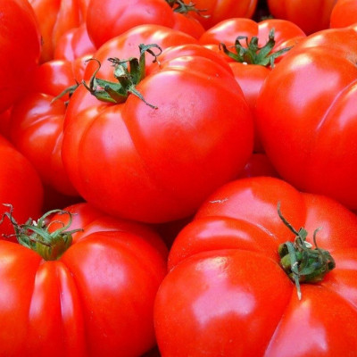 Αδειάζετε τις τομάτες με το κουτάλι στα γεμιστά; Σταματήστε αμέσως! (photos)