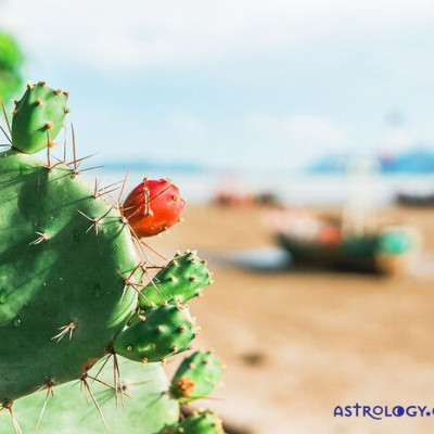 Διάβασε ΔΩΡΕΑΝ την προσωπική σου πρόβλεψη, για σήμερα 18/06/2020