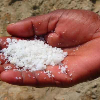 Έριξε αλάτι έξω από την πόρτα - Θα το κάνετε κι εσείς μόλις δείτε γιατί (video)