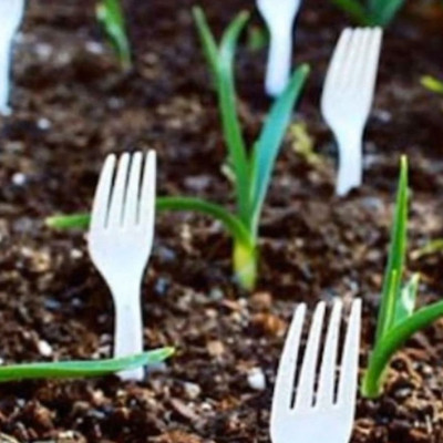 Γέμισε τον κήπο με πλαστικά πιρούνια - Δεν φαντάζεστε για ποιον λόγο (video)