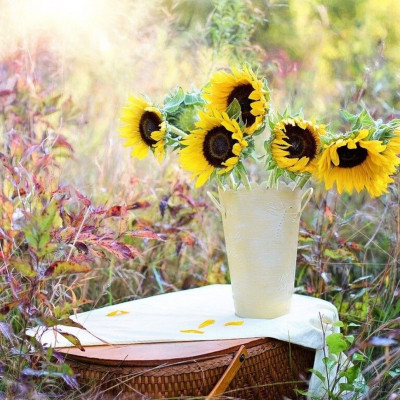 Έριξε ξύδι και ζάχαρη σε βάζο - Θα το κάνετε άμεσα κι εσείς (photos)