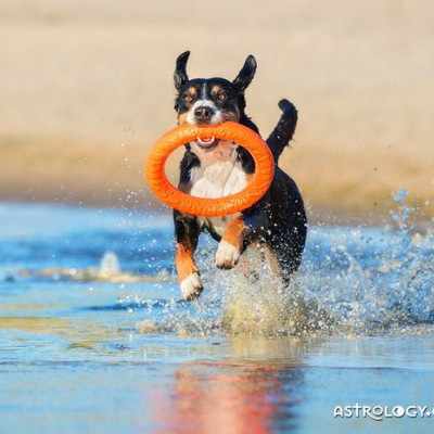 Διάβασε ΔΩΡΕΑΝ την προσωπική σου πρόβλεψη, για σήμερα 29/06/2020