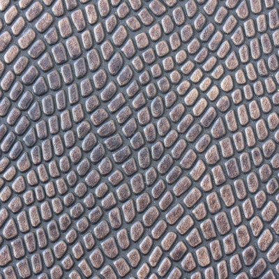 Μπήκε στο μπάνιο του και «πάγωσε» με αυτό που είδε (photos)