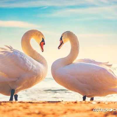 Προβλέψεις για τα αισθηματικά του ζωδίου σου, σήμερα 23/07