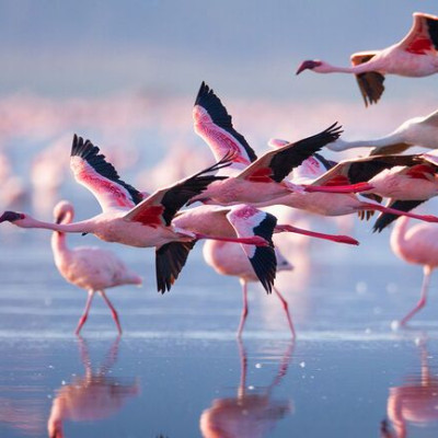 Διάβασε ΔΩΡΕΑΝ την προσωπική σου πρόβλεψη, για σήμερα 28/07/2020