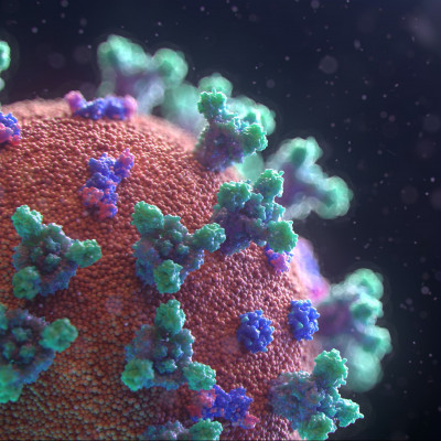 Κινδυνεύεις από κορονοϊό αν είσαι ψηλή; Η έρευνα... και τι πραγματικά ισχύει!