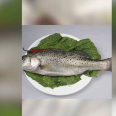 Καθάριζε ψάρι και τώρα κινδυνεύει με ακρωτηριασμό (σκληρές εικόνες)