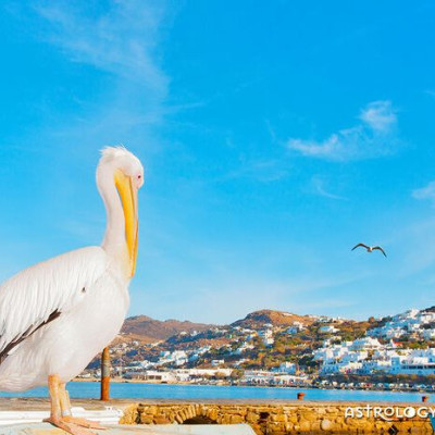 Διάβασε ΔΩΡΕΑΝ την προσωπική σου πρόβλεψη, για σήμερα 08/08/2020