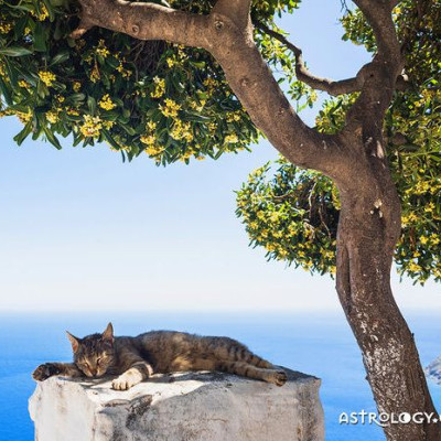 Διάβασε ΔΩΡΕΑΝ την προσωπική σου πρόβλεψη, για σήμερα 20/08/2020