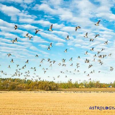Ημερήσιες Προβλέψεις για όλα τα Ζώδια 05/09