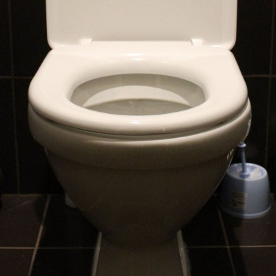 Αυτά τα πράγματα δεν πρέπει να πετάτε στην τουαλέτα