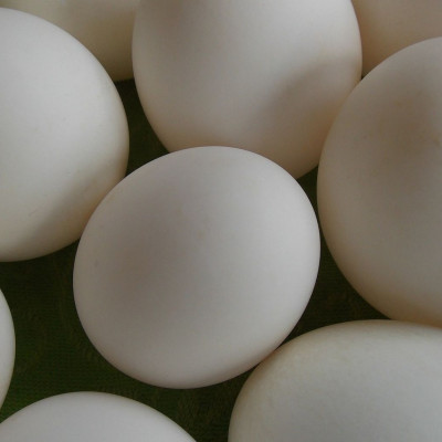 Αγόρασε αυγά από σούπερ μάρκετ - «Τρελάθηκε» μ’ αυτό που βρήκε (video)