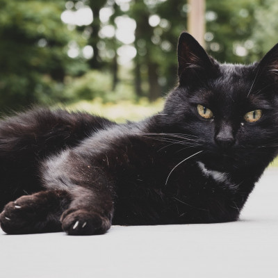 Μία καταπληκτική και εντελώς μυστική εβδομάδα με την Charlie