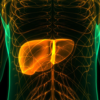 Καρκίνος ήπατος: Τι πρέπει να προσέχετε στη διατροφή για να μειώσετε τον κίνδυνο