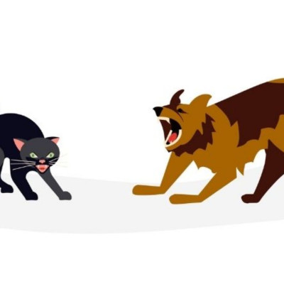 Εσείς ψηφίσατε τα ζώδια που τσακώνονται σαν τον σκύλο με την γάτα!