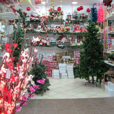 Κορονοϊός: Ό,τι συμβεί τα Χριστούγεννα θα το δούμε τον Γενάρη και θα είναι άσχημο