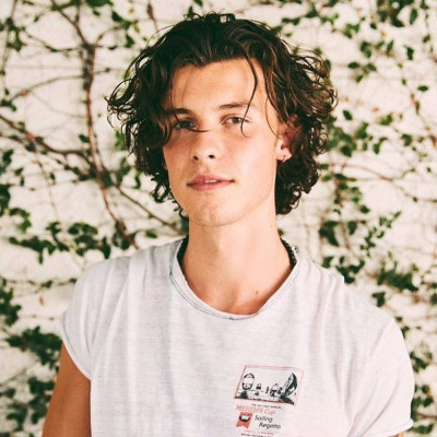 Ο Shawn Mendes έσπασε αυτό το ρεκόρ και είμαστε υπερ-ευτυχισμένες