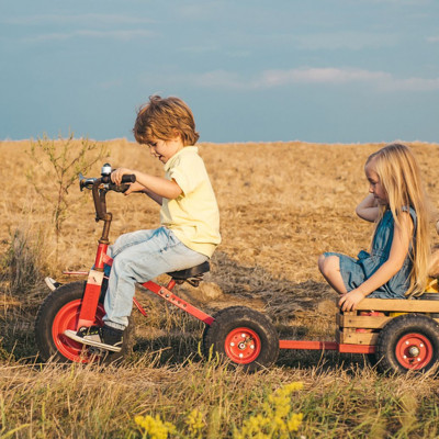Παιδική επιθετικότητα μετά τη βρεφική ηλικία.