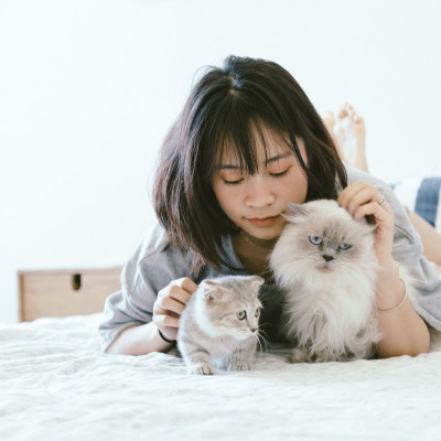 5 περίεργα fun facts για τα αγαπημένα μας κατοικίδια, τις γάτες