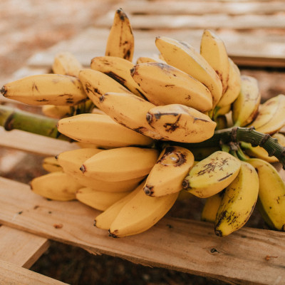 5 σοκαριστικά fact για τις μπανάνες που δε θα πιστέψεις