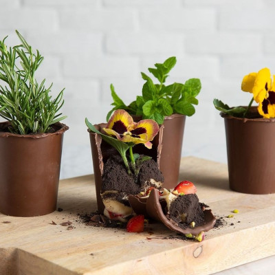 Άκης Πετρετζίκης: Σοκολατένια γλαστράκια