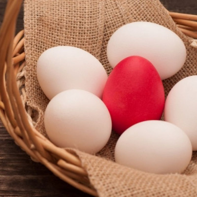 Πάσχα και τροφικές δηλητηριάσεις: Ο δεκάλογος της σωστής συντήρησης των τροφίμων