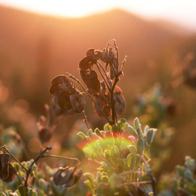 Καλοκαιρινές περιηγήσεις στη μυστική «όαση» του Υμηττού