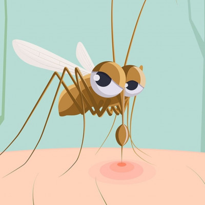 Τα φυτά που διώχνουν τα κουνούπια (εικόνες)