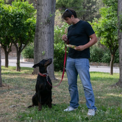 Γιατί όταν είσαι animal lover, αγαπάς και τις urban adventures!