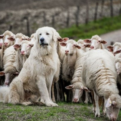 Σήμερα 06/07: Ο φόβος φυλάει τα έρημα…