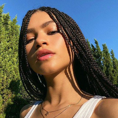 Again and again! Η Zendaya λατρεύει τα ράστα μαλλιά και τα έκανε ξανά