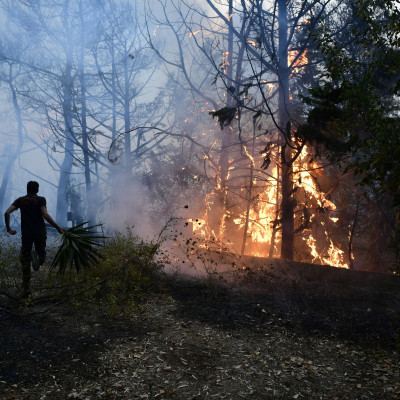 Φωτιά στη Βαρυμπόμπη: Οι celebrities στέλνουν τα δικά τους μηνύματα στο Instagram