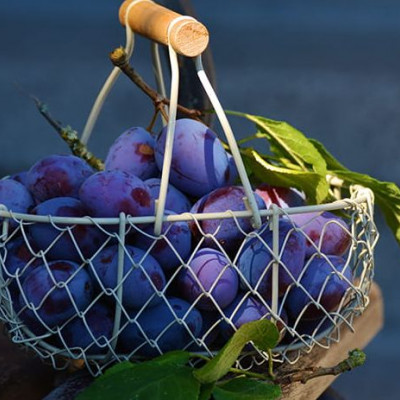 Εμπλουτίζουμε το μενού μας με φρούτα και λαχανικά εποχής