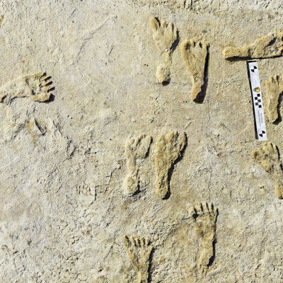 Aνακαλύφθηκαν απολιθωμένα αποτυπώματα των πρώτων ανθρώπων στη Β. Αμερική