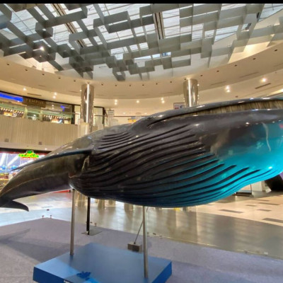 Η συναρπαστική έκθεση «Πλάσματα & Μυστήρια του Βυθού» στο Mediterranean Cosmos