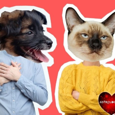 Αυτά τα ζώδια δεν μπορούν να είναι φίλοι. «Τρώγονται» σαν τον σκύλο με τη γάτα