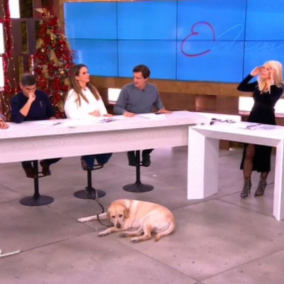 Ελένη Μενεγάκη: Συνεργάτιδά της στο νοσοκομείο – Τι της συνέβη; (Video)