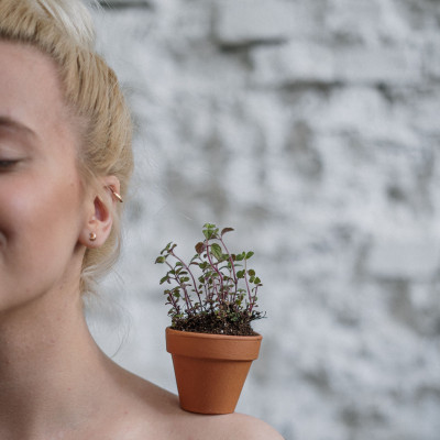 Αν θέλεις τα φυτά σου ν' ανθίσουν βάλε πέτρες στο χώμα - 3 λόγοι θα σου λύσουν την απορία