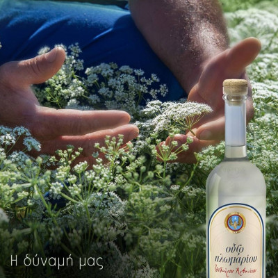 Το Λισβόρι της Λέσβου ήδη μοσχοβολά γλυκάνισο