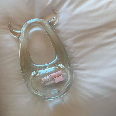 Η γυάλινη τσάντα του οίκου Coperni είναι το νέο it thing της σεζόν