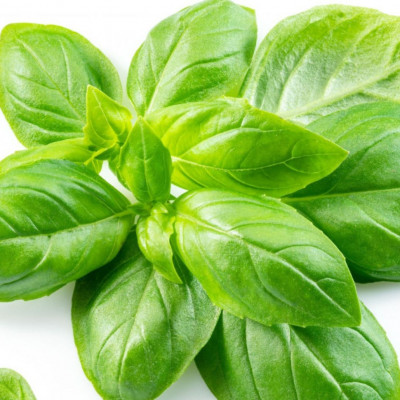 Αφέψημα βασιλικού: Τα οφέλη για την υγεία (video)