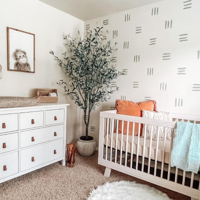 Έξι ιδανικά φυτά για το βρεφικό δωμάτιο